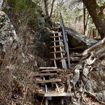 グラグラするステップもあって
ちょっと怖かった