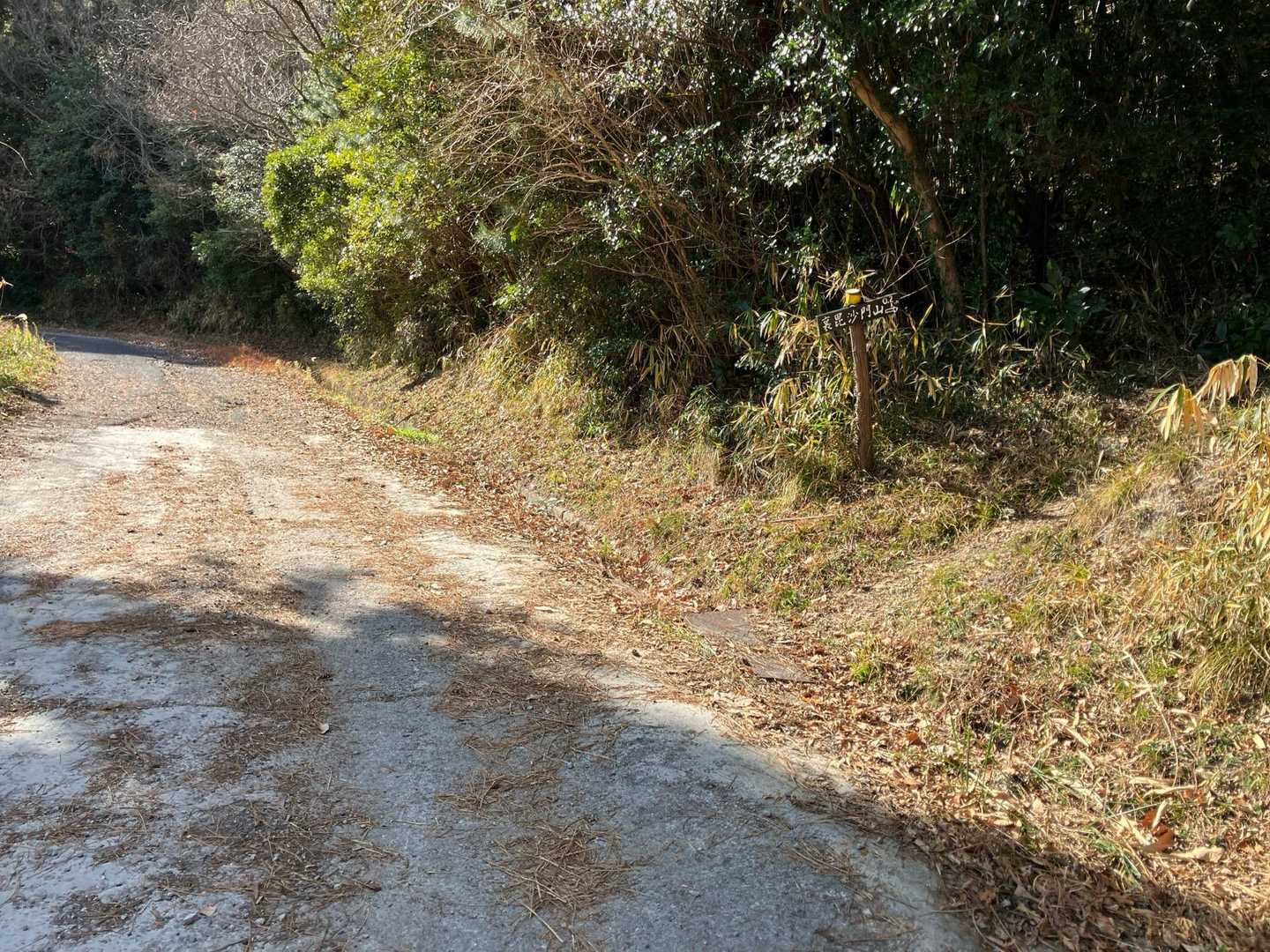 ６座目、裏毘沙門山へ。
右を登っていきます。このコース一番の急登。