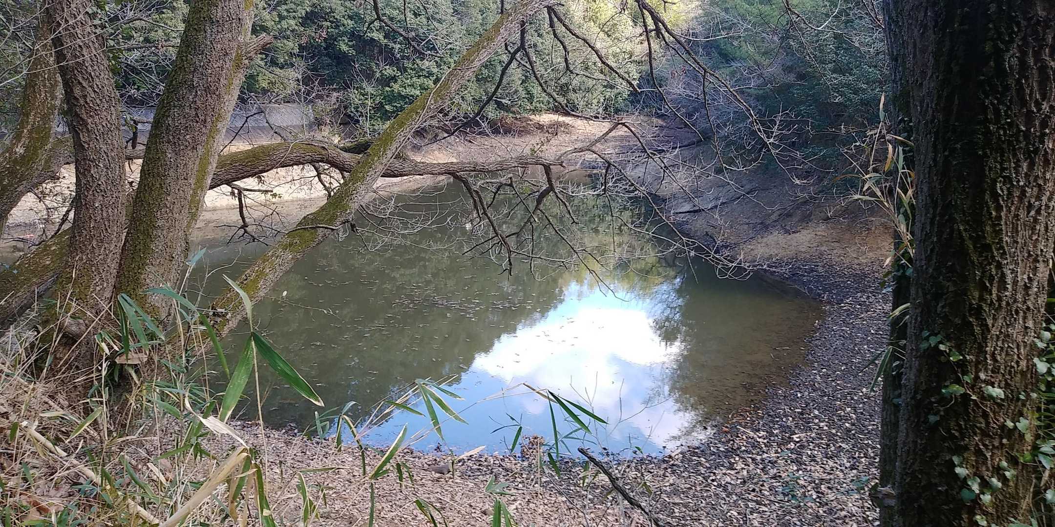 池