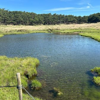たっぷりの水を湛えた池塘💦