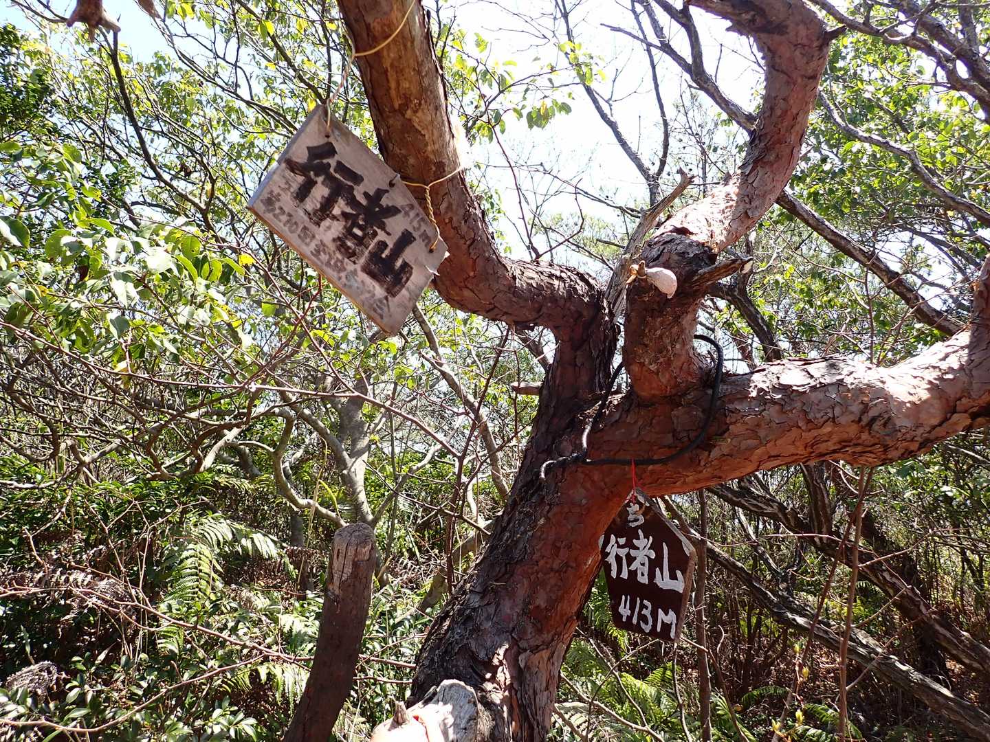 四座目　行者山