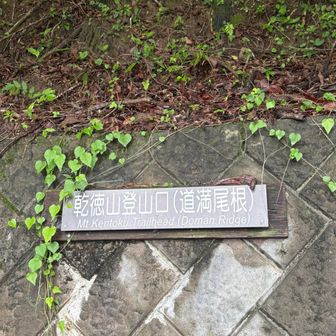 例によって、道満山経由で