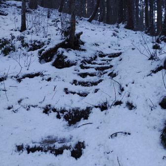 登山口が凍っててチェンスパ履いたけど、林道入ると気温も低くなくて雪がやわらかいから、履かない方が楽かな〜という感じ。脱ぐのも面倒だからそのまま進む。