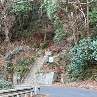 登山口に戻る。ちょっと手前辺りで茂みの中から動物の足音あり。足音の重量感からしてタヌキあたりかな？