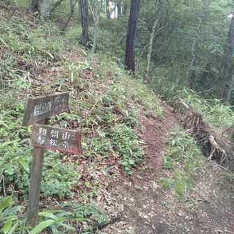 帰りも道案内看板を丁寧にたどって下山