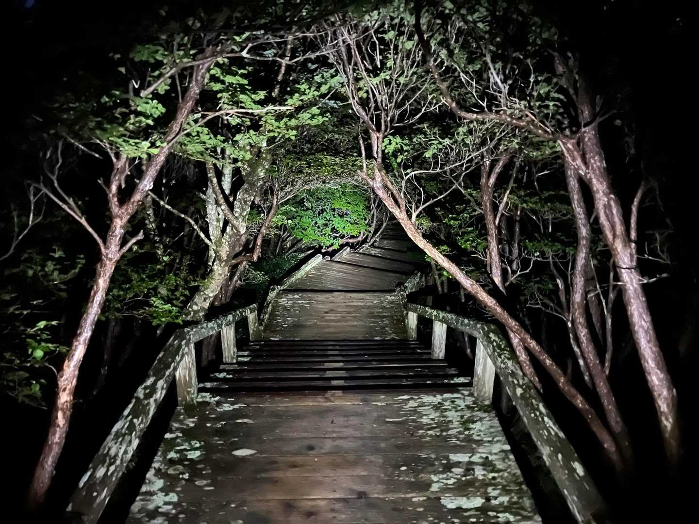 日中も最高でしょうね。