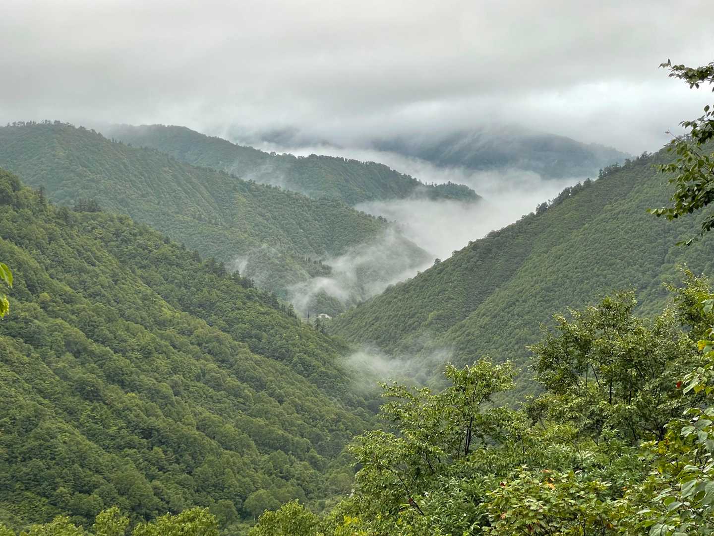 平ヶ岳（プリンスルート） 往復コースの写真