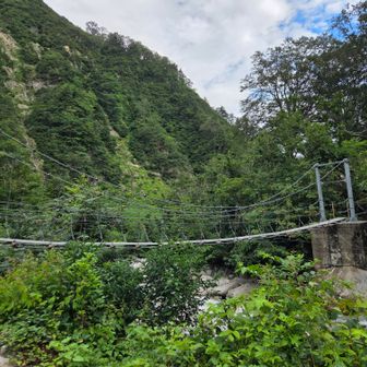 2つ目の吊り橋
意外に揺れる