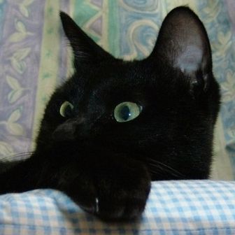 くったん