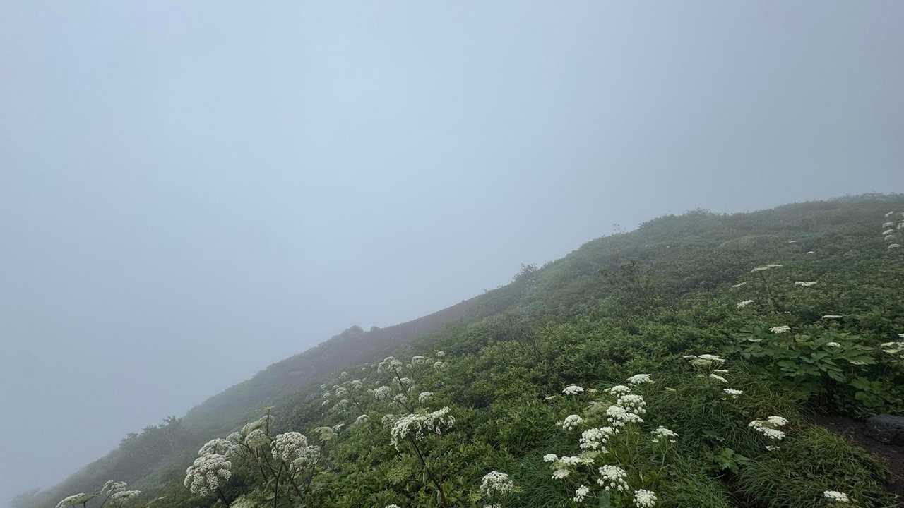 雨の岩手山／岩手遠征 Day2 の写真 3