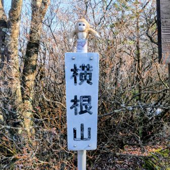 横根山⛰️山頂