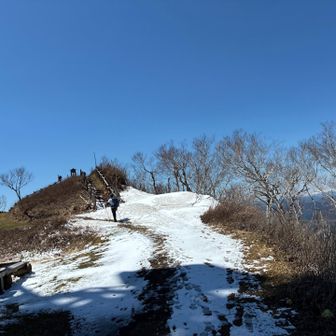 ここを登れば山頂