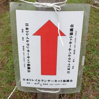 近くトレラン大会かな？