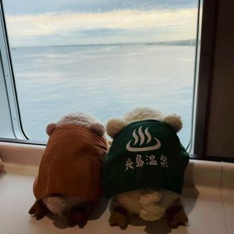 室内飼いのミーアキャット