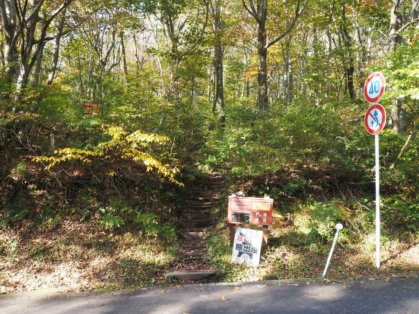 新小屋峠の烏ヶ山登山口
ここから登山開始
🐻には遭いたくないな～