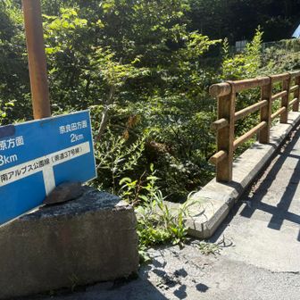 ３０分ほどは舗装道路歩き