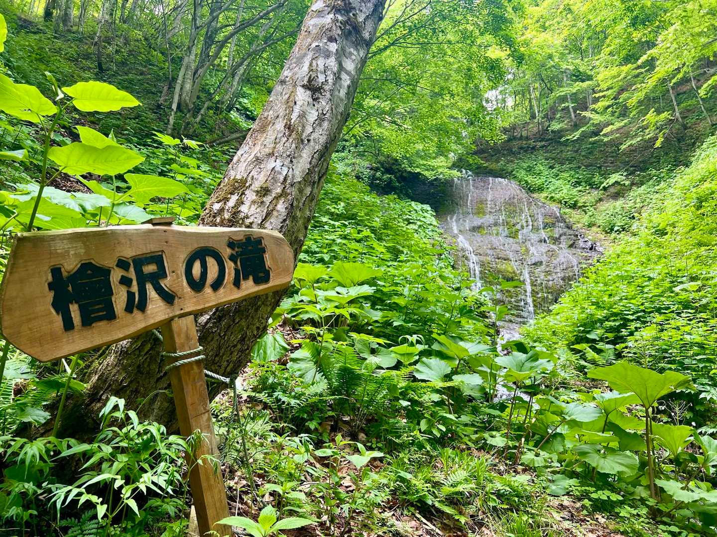 滝だー