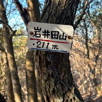 バリルートみたいなところだよ、と言われたけど、ピークゲットのために歩きますよ！