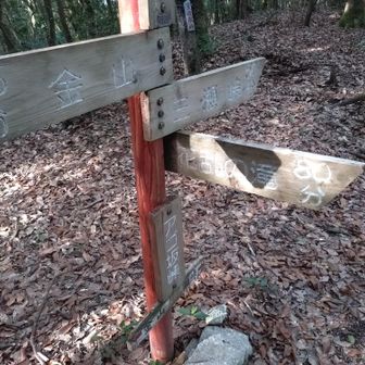 背振山系縦走路のアゴ坂峠にたどり着く。