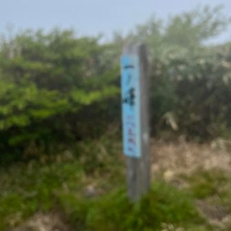 銚子ヶ峰からここまで急登のアップダウン
周りが見えないのでモチベーションも上がらず