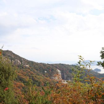 眼下はまだまだ綺麗な紅葉