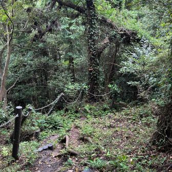 下山序盤から不安になる