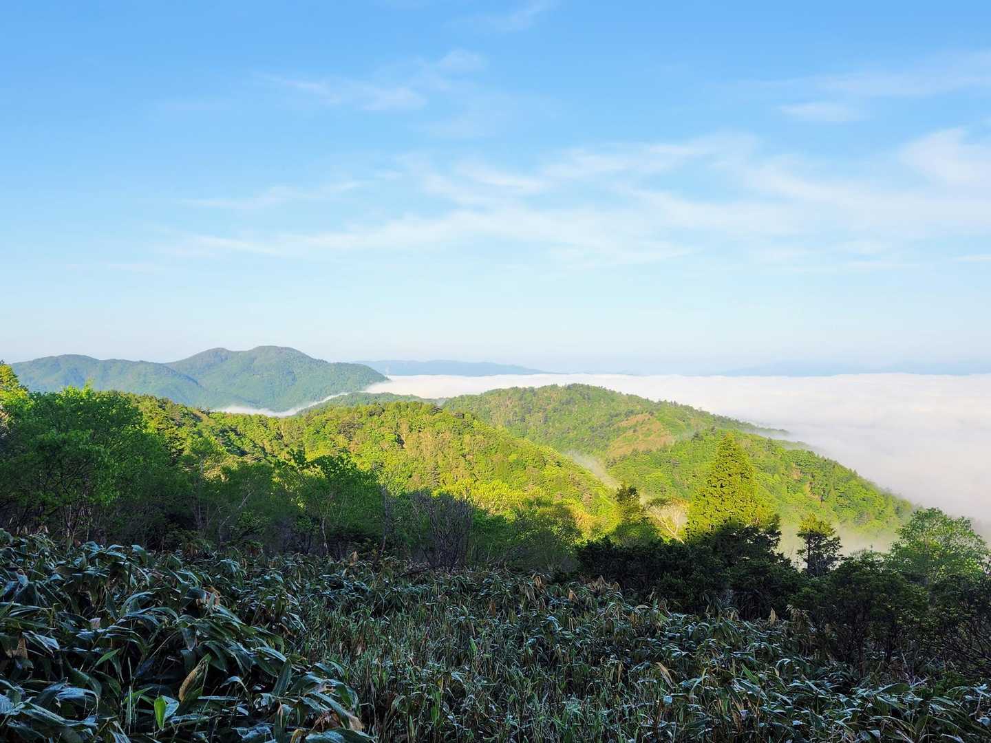 目指す川上岳は雲海の向こう🌤️
