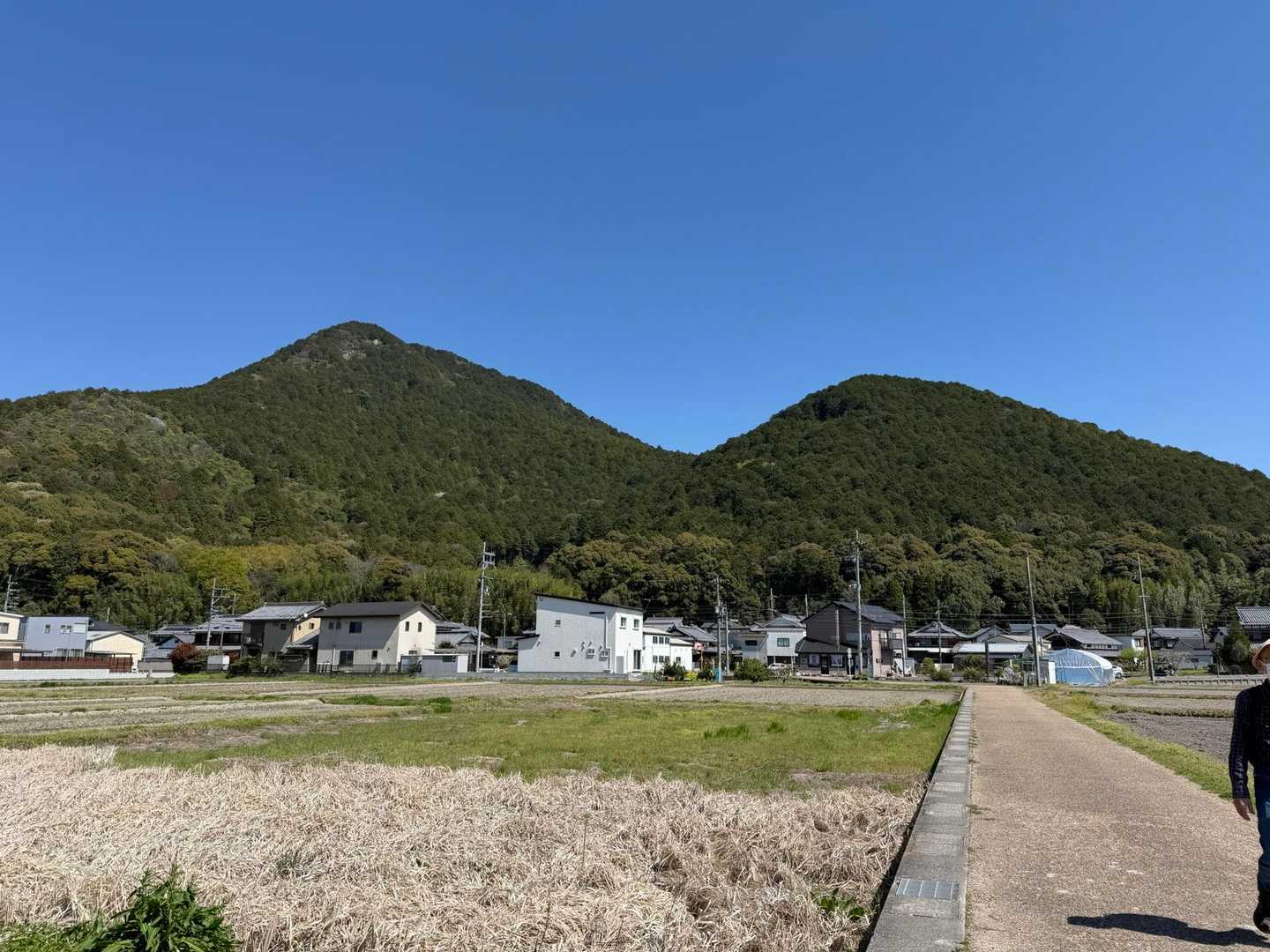 三上山（近江富士）・女山 / エルマのボスのハイキングデータ | YAMAP