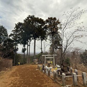 本日は曇天なり。
