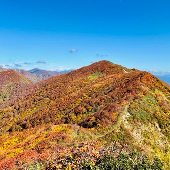 紅葉🍁真っ盛りです！