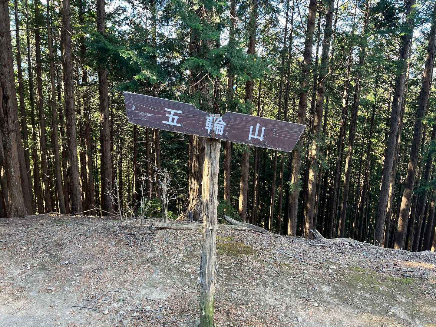 伊豆ヶ岳登山口-ツガの木台-長岩峠-伊豆ヶ岳-山伏峠 周回コースの写真