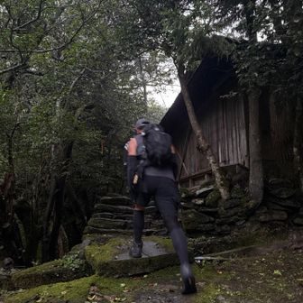 廃墟🏚️横を通ります