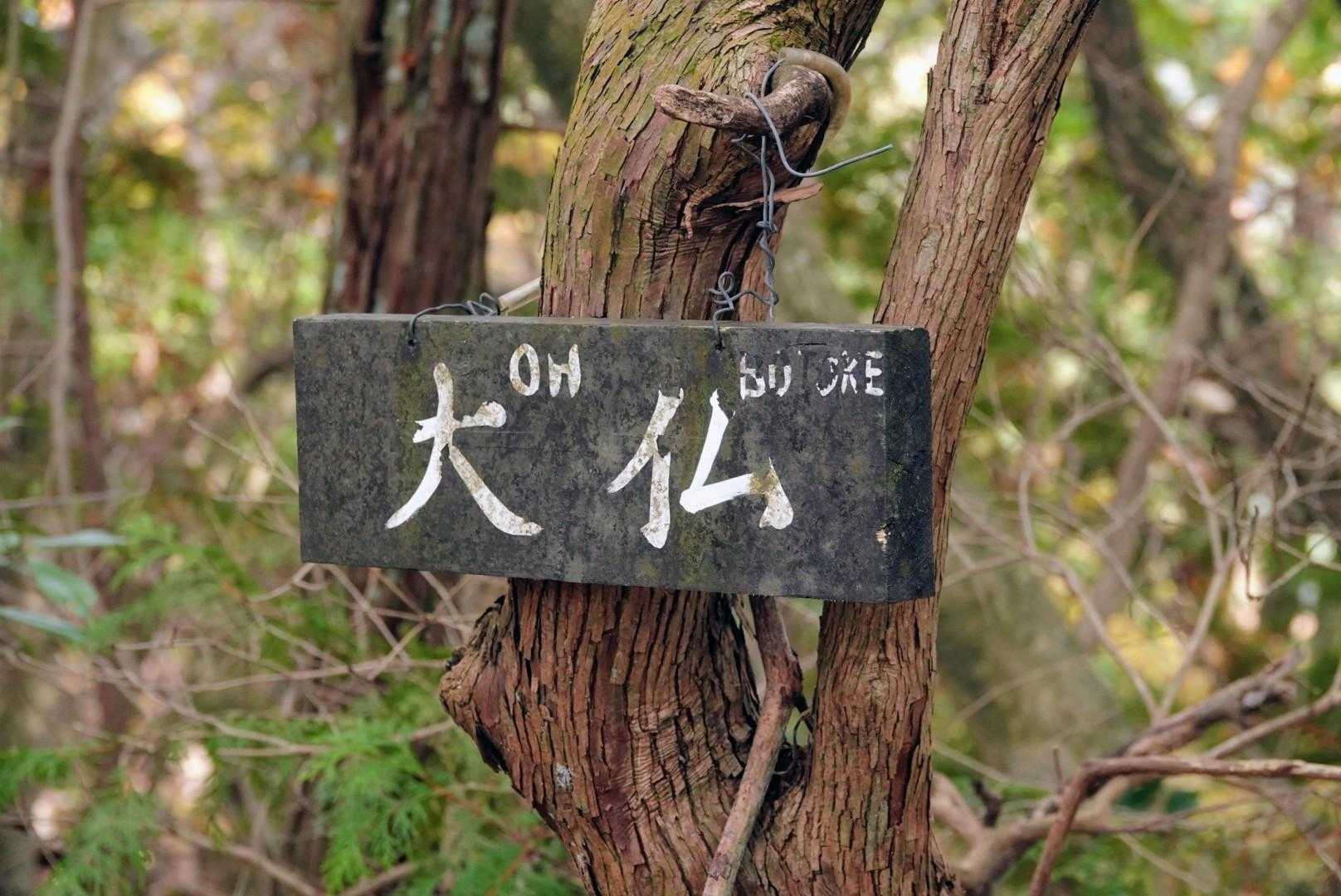 おおぼとけ