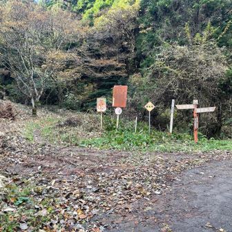 車谷まで降りてきた
さ、登山の開始！💪