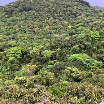 本部富士
時間ないから行けません😆