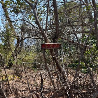 少しだけ上って　大文字山（左大文字山）
早々に登り返して戻ります