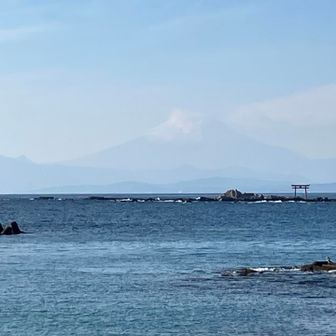 海まで降りてきました
富士山がキレイです