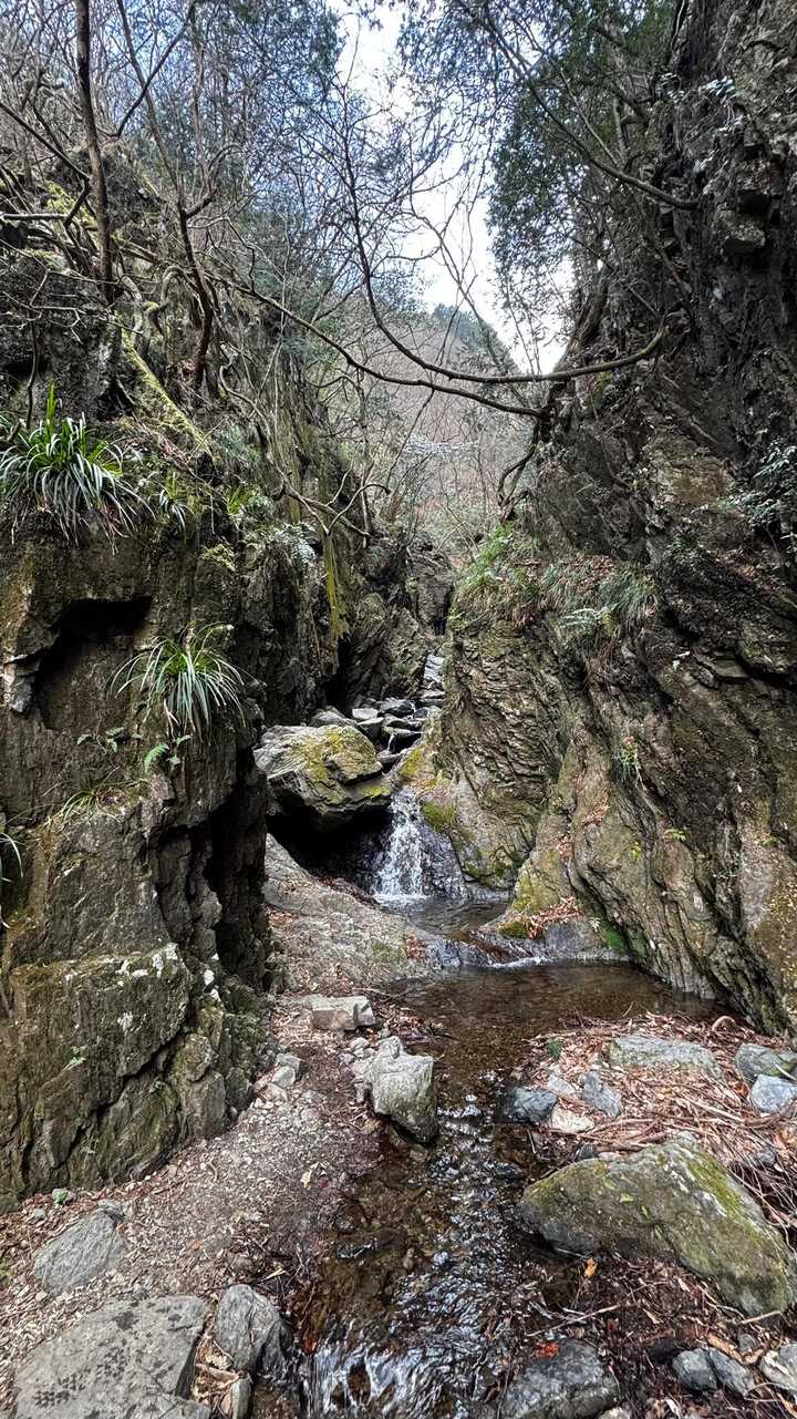 岩茸石山・棒ノ折山縦走 の写真 16