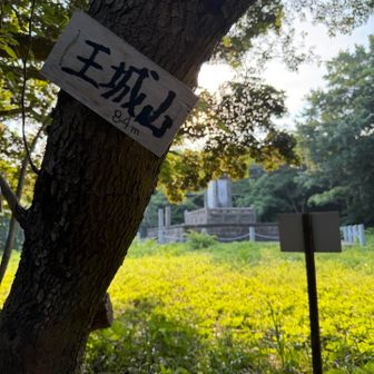 小さく標識もあった