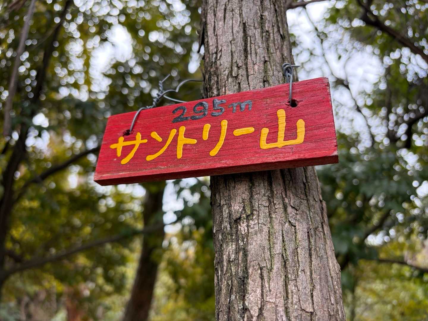 大山崎駅-酒解神社-小倉山-山崎駅 周回コースの写真