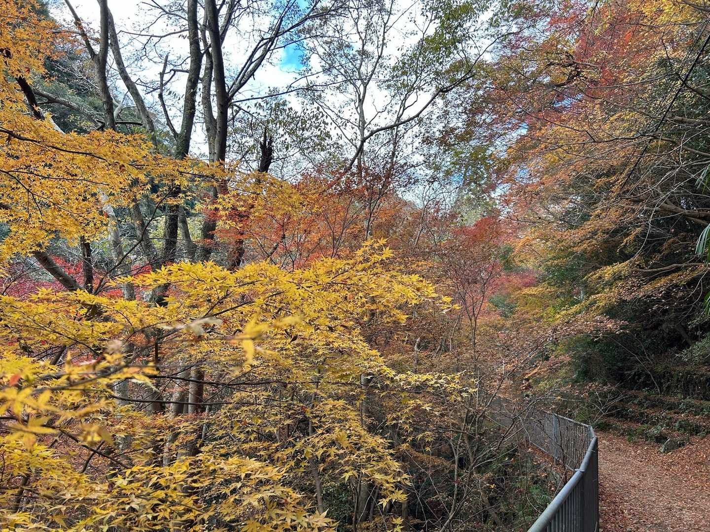 新神戸駅-滝山城跡登山口 縦走コースの写真