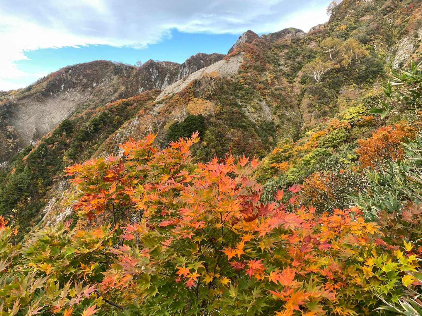 雨飾山 往復 | 急登を越え圧巻の迫力の岩峰群と稜線上の楽園を愛でるの写真