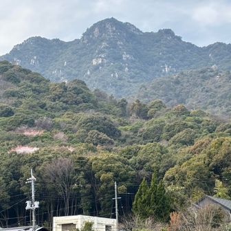 無事戻りました。
楽しかったよ。
ありがとう右田ヶ岳🤗