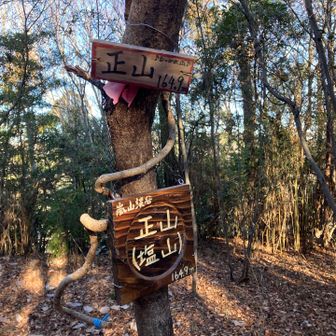 正山165m
地元の人は塩山と呼んでいた