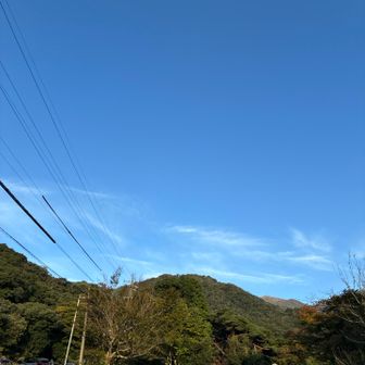 空は快晴。風も弱い予報。