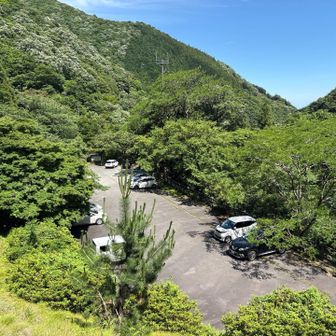 とうちやこ