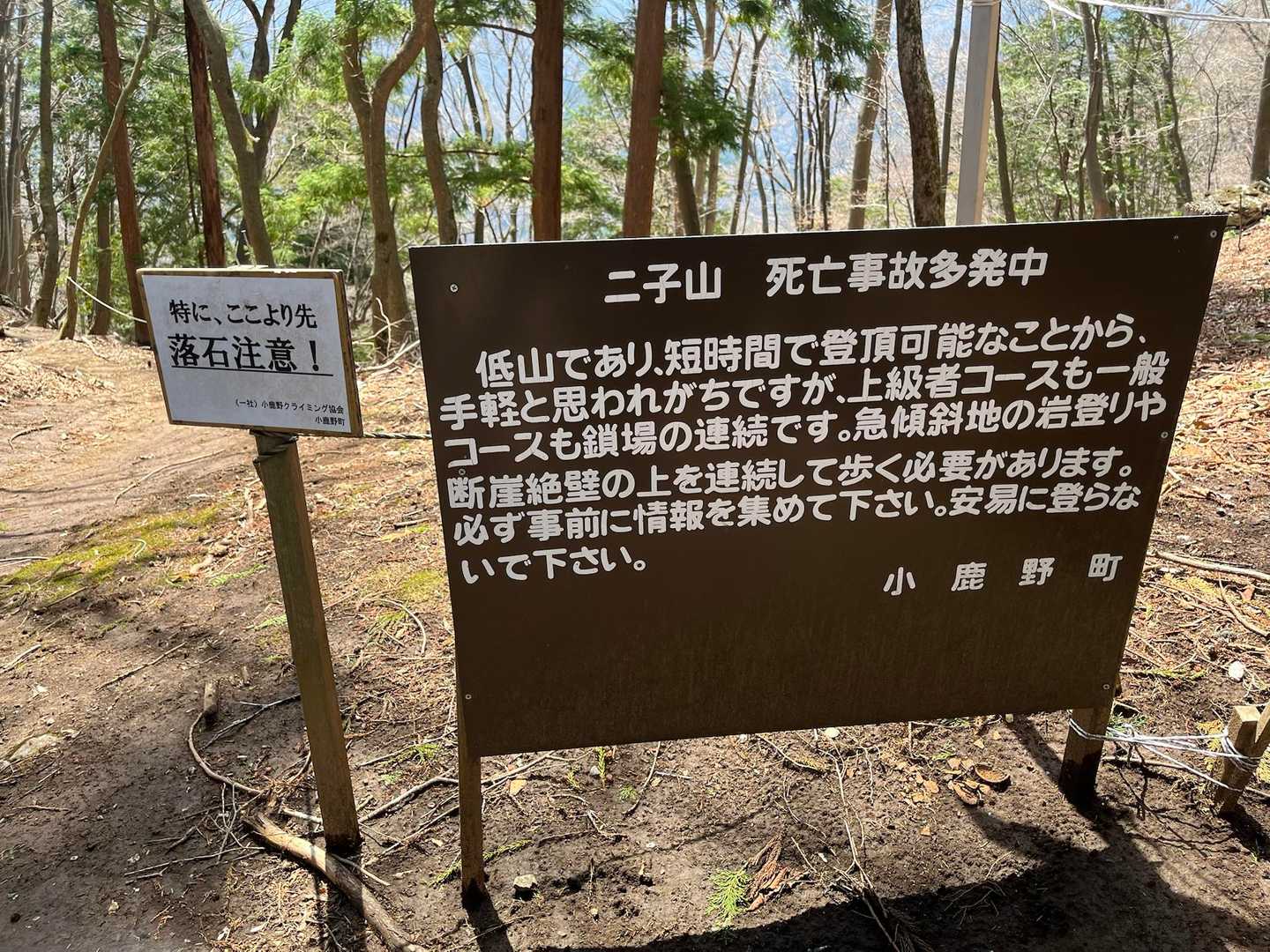 今さら見た