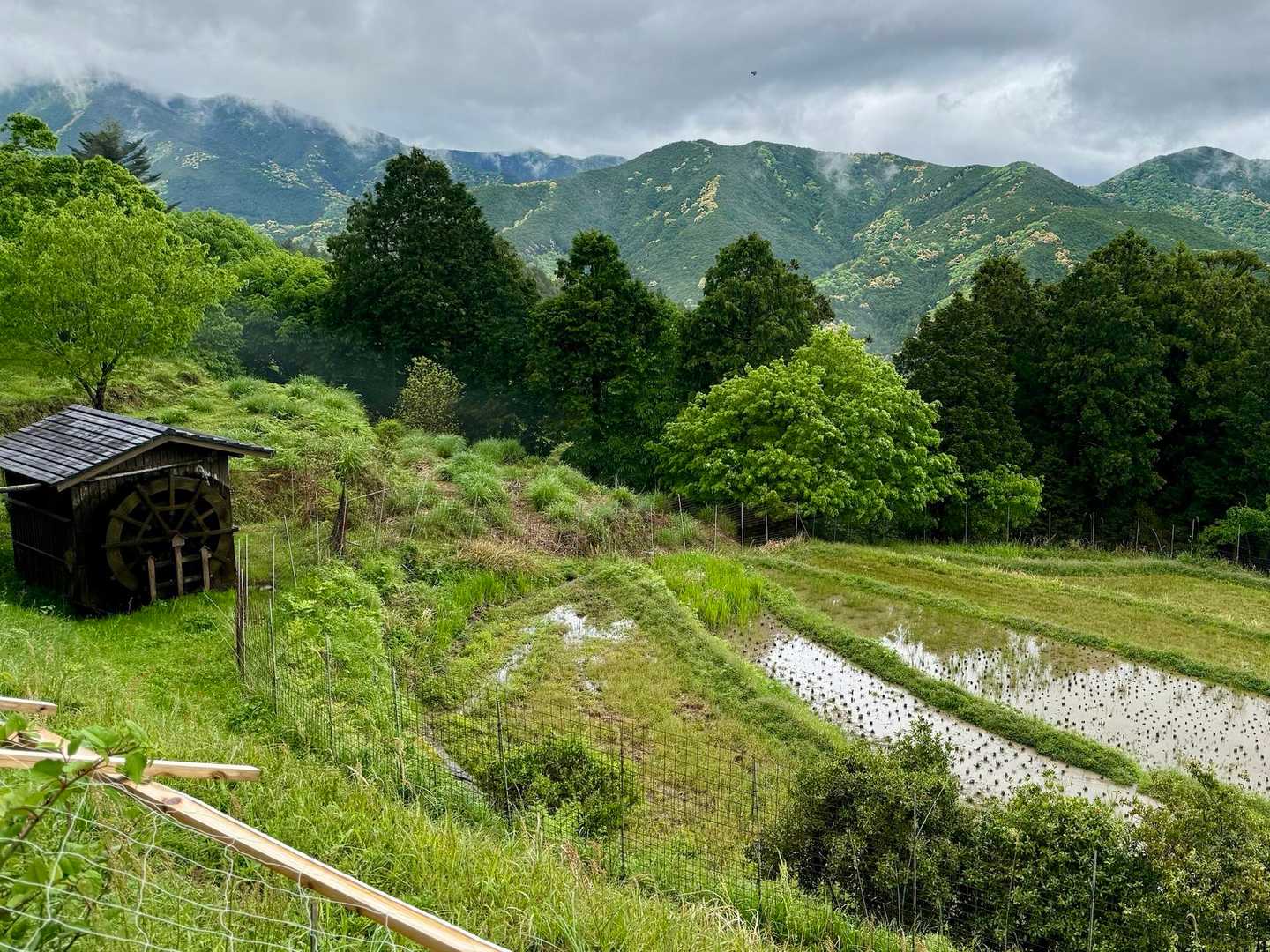 棚田や水車小屋があって昔ながらの風景を伝える素敵な所でした。
