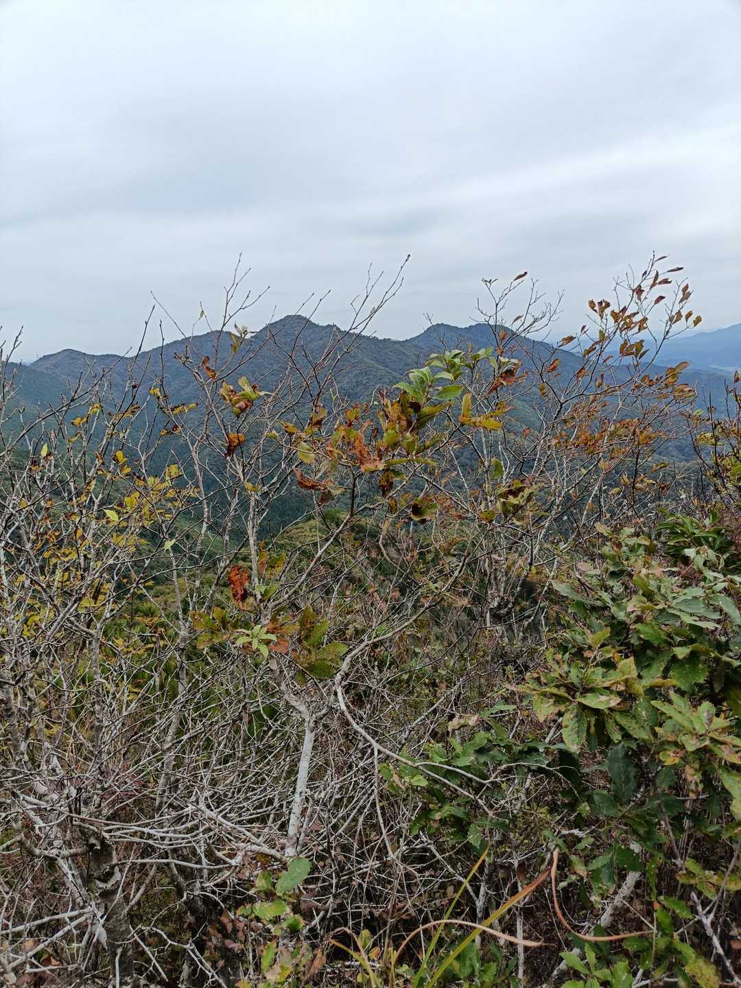 とんがり山から見える白髪岳と松尾山。
