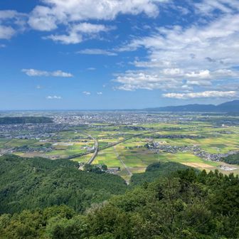いや、見ていて気持ちいいわ